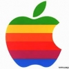 Tim Kuk Apple kompaniyasi rahbari sifatida 2015 yilda 10,3 million dollar daromad topdi