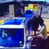 Кампир босқинчиларнинг попугини пасайтириб қўйди (видео)