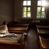 Odam uchun eng katta xavf yolg‘izlik ekanligi aniqlandi