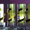 Rejissyor Rashid Malikovning «Sabot» filmi xalqaro Bridge of Arts kinofestivalida mukofotlandi