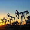 Brent туридаги нефт нархи 47,7 долларга тушди
