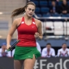 Arina Sobolenko endi “US Open”ni olmoqchi