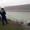 Ангренда дарёга тушиб кетган отлар қутқарилди (фото)