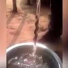 “Sehrli tayoqcha” aks etgan videorolik barchani hayratga soldi (video)