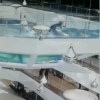 Xitoylik ayol ichida akulalari bor akvariumga tushib ketdi (video)