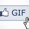 Энди Facebook камерасида ўзингиз GIF ясай оласиз!