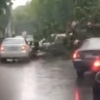 Toshkentda daraxt yurib ketayotgan avtomobillar ustiga qulab tushdi (video)