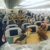 Saudiya shahzodasi 80 nafar lochinga samolyot chiptasini sotib oldi (Video)