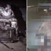Range Rover va tuya to‘qnashgan YTHning fotosuratlari tarqaldi