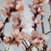 Қашқадарё ва Сурхондарёда бодом гуллади