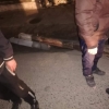Самарқандда ҳомиладор аёл устига симёғоч қулаб тушди