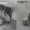 Диққат, камера! Тошкентда чинни буюмларни ўғирлаган қиз қўлга олинди