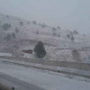 Ertaga yomg‘ir qorga aylanishi kutilmoqda
