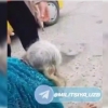 Samarqandda qiz onasini kaltakladi (video)