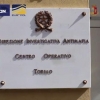 Европада 31 нафар мафия аъзоси ҳибсга олинди