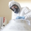 Infeksiya qayoqqa g‘oyib bo‘ldi? Avstraliyada koronavirus qayd etilmadi