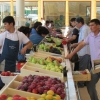 Savdo sohasida qator taqiqlar joriy etiladi