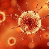 Birinchi marta koronavirus onadan homilaga yuqishi qayd etildi