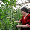 OTB O‘zbekistonda bog‘dorchilik sektorini rivojlantirish uchun 154 million dollar ajratdi