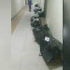 Yo‘lak to‘la murdalar videosi O‘zbekistonda olingani tasdiqlandi. Ammo...
