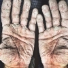 Kun fotosi: Arktikada bir oy suzgan eshkakchi qo‘llari