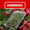 Korzinka.uz қадоқланган довчаларни савдога чиқарди