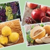 O‘zbekiston Xitoyga qovun, anor, uzum va limon eksport qiladi