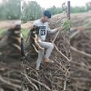 Тошкентда жониворларга шафқатсиз муносабатда бўлган ўсмирларга нисбатан чора кўрилди