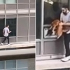 Erkak mushukni qutqaraman deb o‘z jonini xatarga qo‘ydi (video)