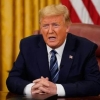 Дональд Трамп: «Ҳозироқ Владимир Путин исмли жентльмен билан гаплашмоқчиман»