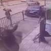 Politsiyachi yuqori qavatdan tushib ketgan bolani ilib oldi (video)