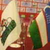 “Uzbek Tigers” WSB турнирида Америка жамоалари билан куч синашади