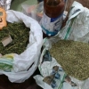 4 кило марихуана узум орасидан кўриниб қолди