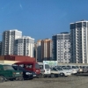 ИИВ Самарқанддаги оммавий муштлашув сабабига аниқлик киритди