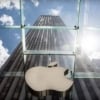 Apple Samsung`дан 180 млн доллар талаб қилмоқда