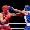 Boks. Bugun 8 nafar bokschimiz Osiyo chempionati oltin medali uchun jang qiladi