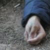 Хатирчида ҳокимни судга берган фермер сирли ўлим топгани айтилмоқда