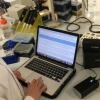 Britaniyada koronavirus bo'yicha tadqiqotlar
