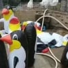 Хитойдаги зоопаркларнинг бирида пингвинлар ҳақиқий эмас, шиширилган ўйинчоқлар эканлиги аниқланди