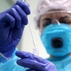 Коронавируснинг организмда сақланиб қолиш муддати маълум қилинди