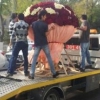 Toshkentlik oshiq sevgilisiga O‘zbekistondagi eng ulkan guldastani tortiq qildi