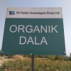 O‘zbekistonda ilk bor organik paxta yetishtirildi