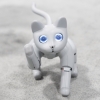 Xitoy kompaniyasi robot mushukni namoyish etdi (video)