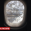 Vnukovo aeroportida "Aerobus" yo‘lovchi samolyoti ustiga minglab asalarilar yopirildi