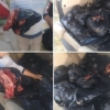 Номаълум ҳайвонга тегишли гўшт йўқ қилинди