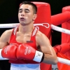 Boks bo‘yicha “Gubernator kubogi” yarim final janglari (video)