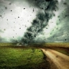 Kanzasda kuchli tornado hayvonlarni havoga ko‘tarib olib chiqdi (video)