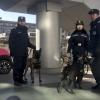 Гонконгда қуролли жиноятчилар 600 рулон ҳожатхона қоғозини ўғирлаб кетишди