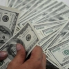 O‘zbekistonda dollar narxi yana oshdi