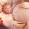 Koronavirus homiladorlikning qaysi davrida nisbatan xavfli ekani aytildi